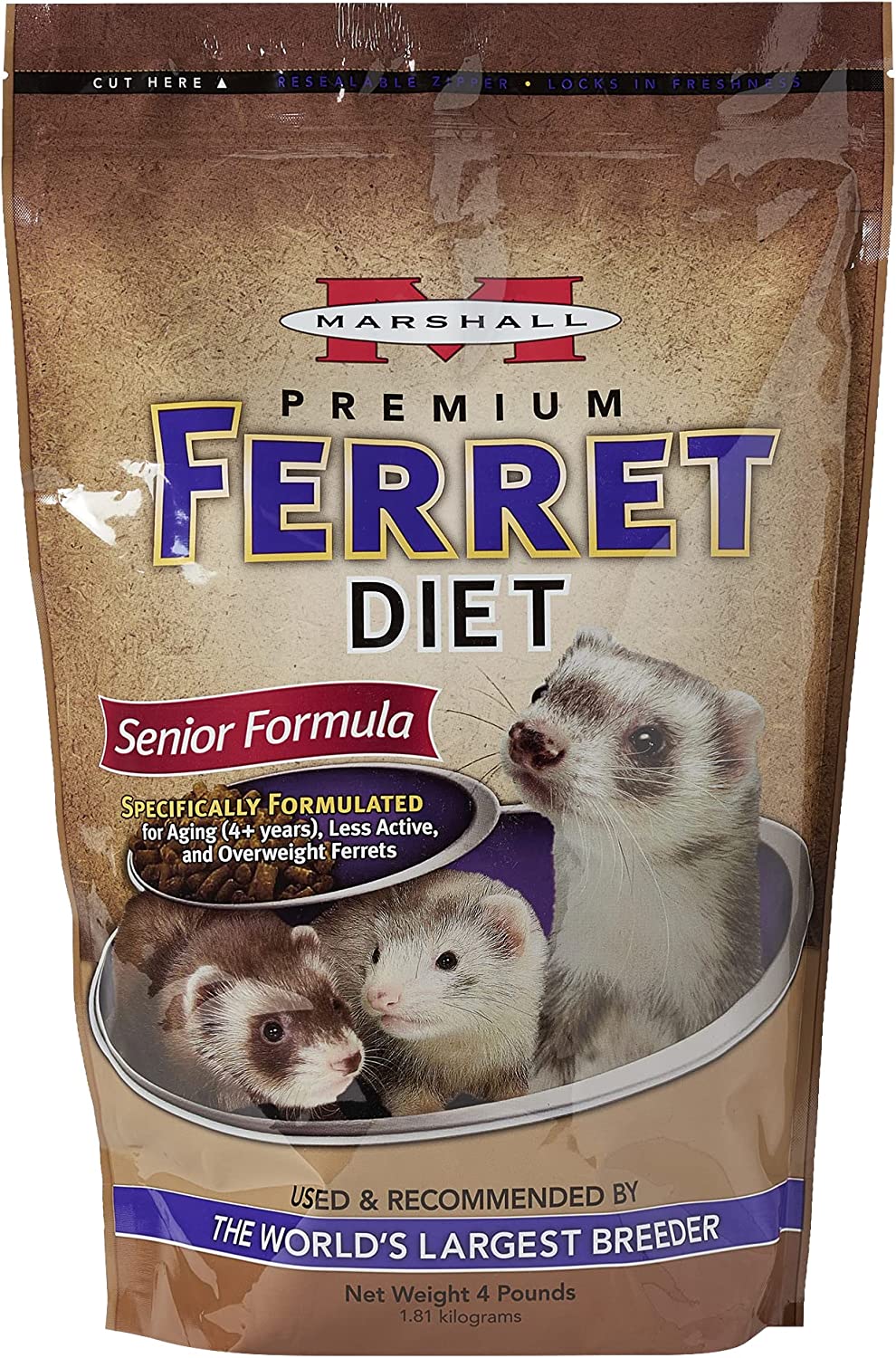 How to Care for an Older Ferret - Ferret Outfitters